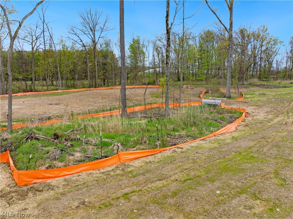 9526 River Birch Run Property Photo 2