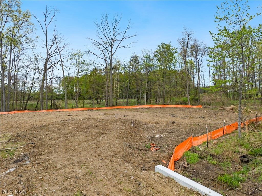 9526 River Birch Run Property Photo 3