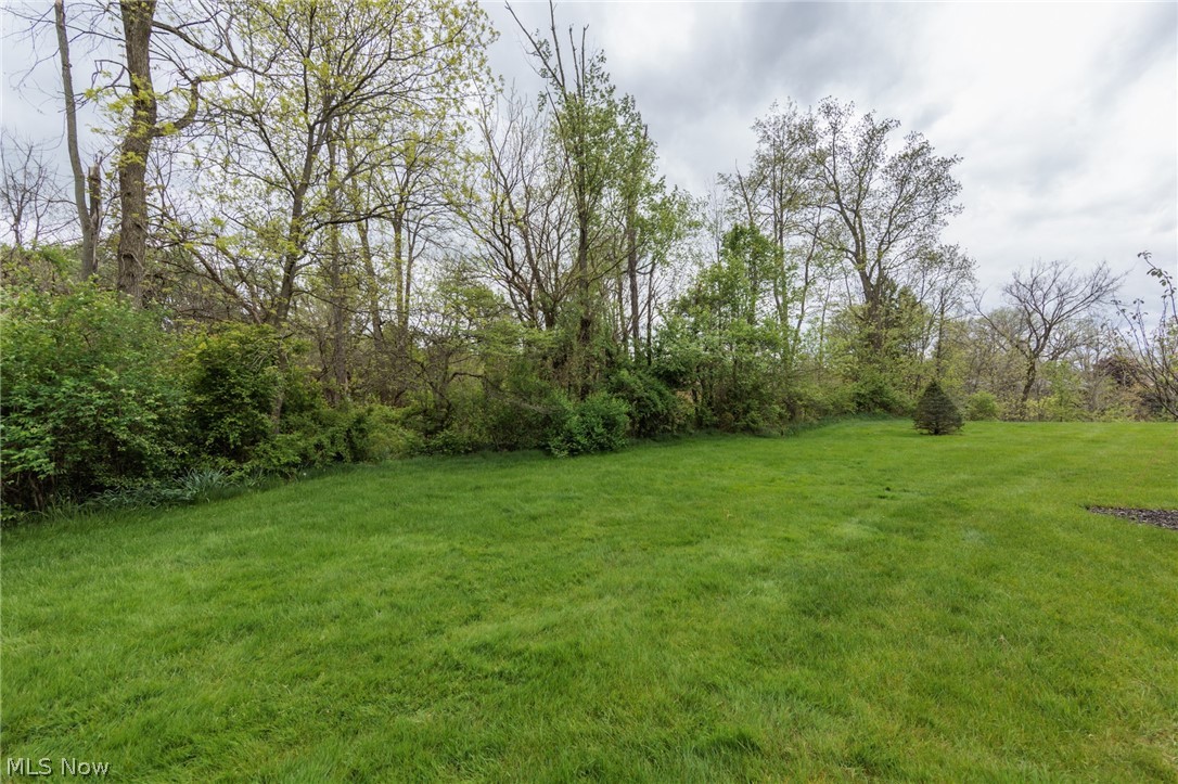 12195 Pheasant Run Circle Property Photo 48