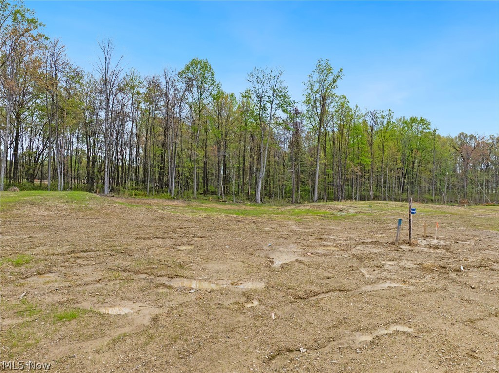 9527 River Birch Run Property Photo 1