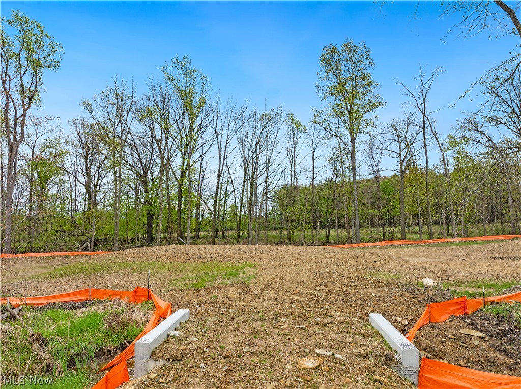 9528 River Birch Run Property Photo 1