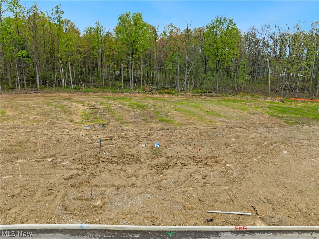 9531 River Birch Run Property Photo 1