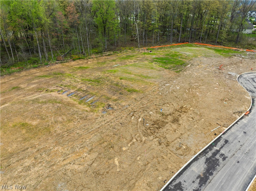 9531 River Birch Run Property Photo 2