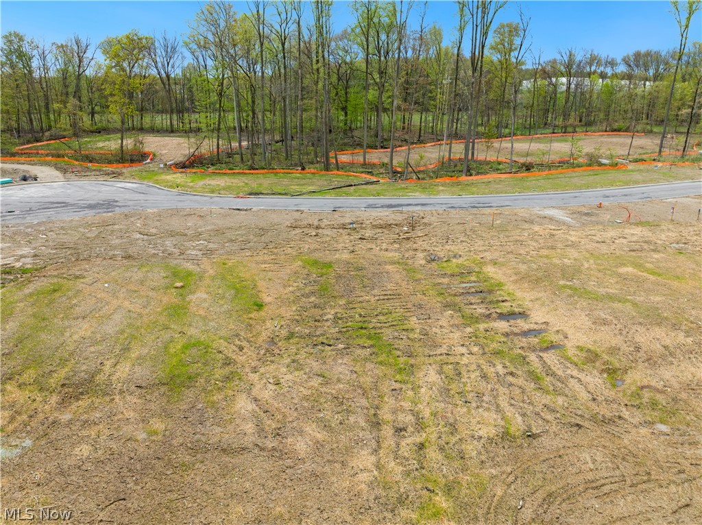 9531 River Birch Run Property Photo 3