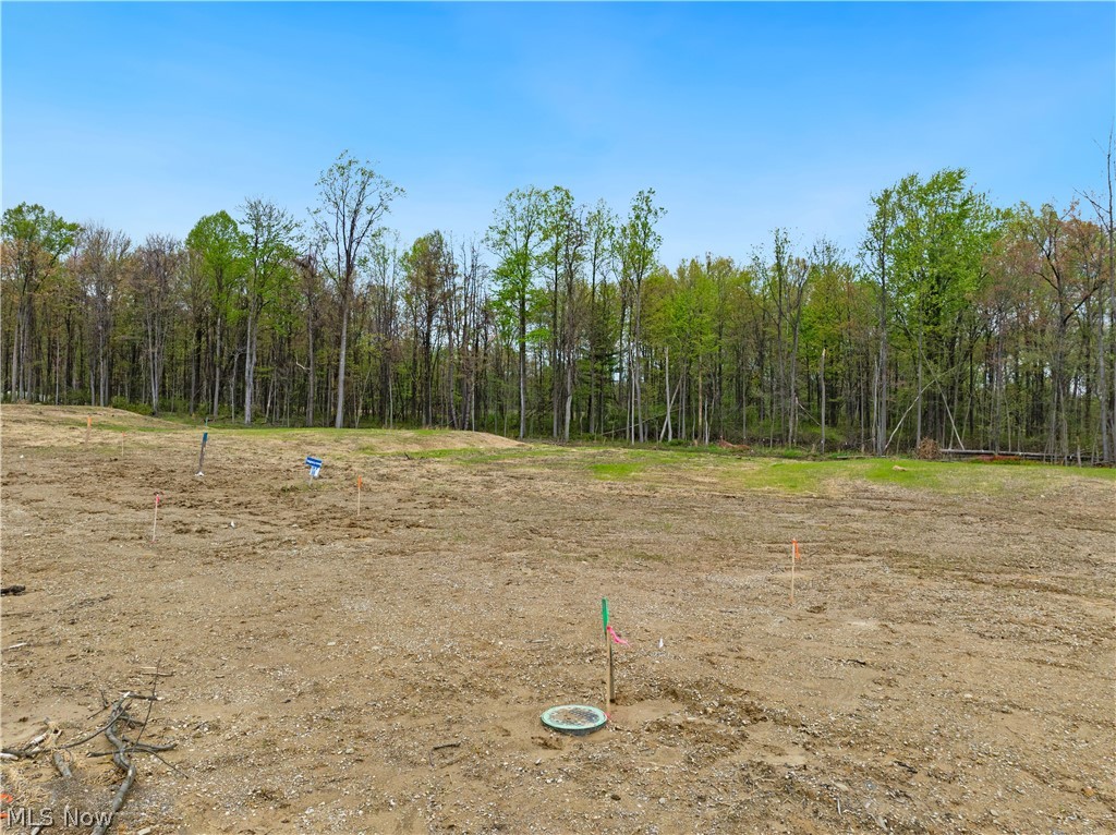 9531 River Birch Run Property Photo 4