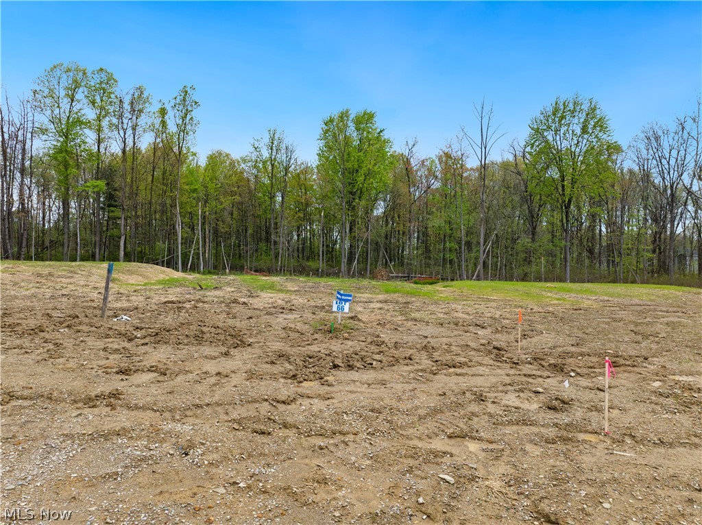 9531 River Birch Run Property Photo 5