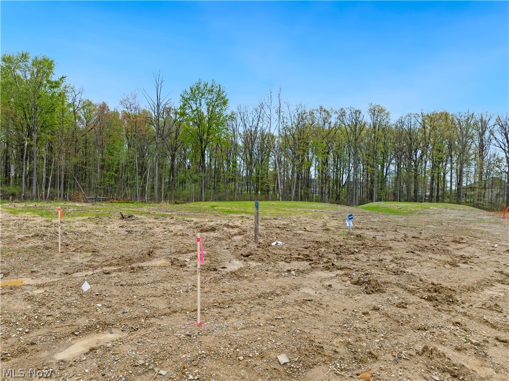 9531 River Birch Run Property Photo 6