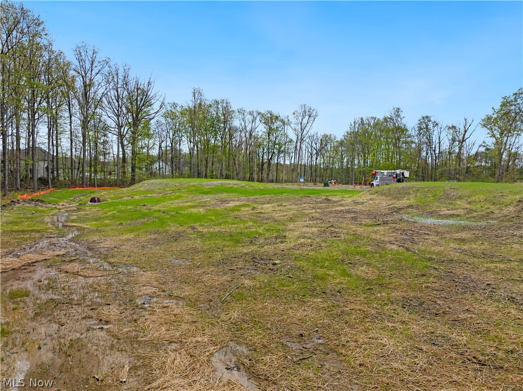 9533 River Birch Run Property Photo 1