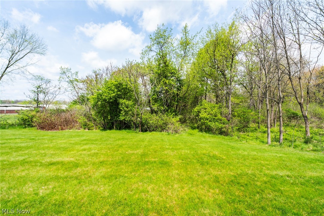 344 Myron Street Property Photo 40