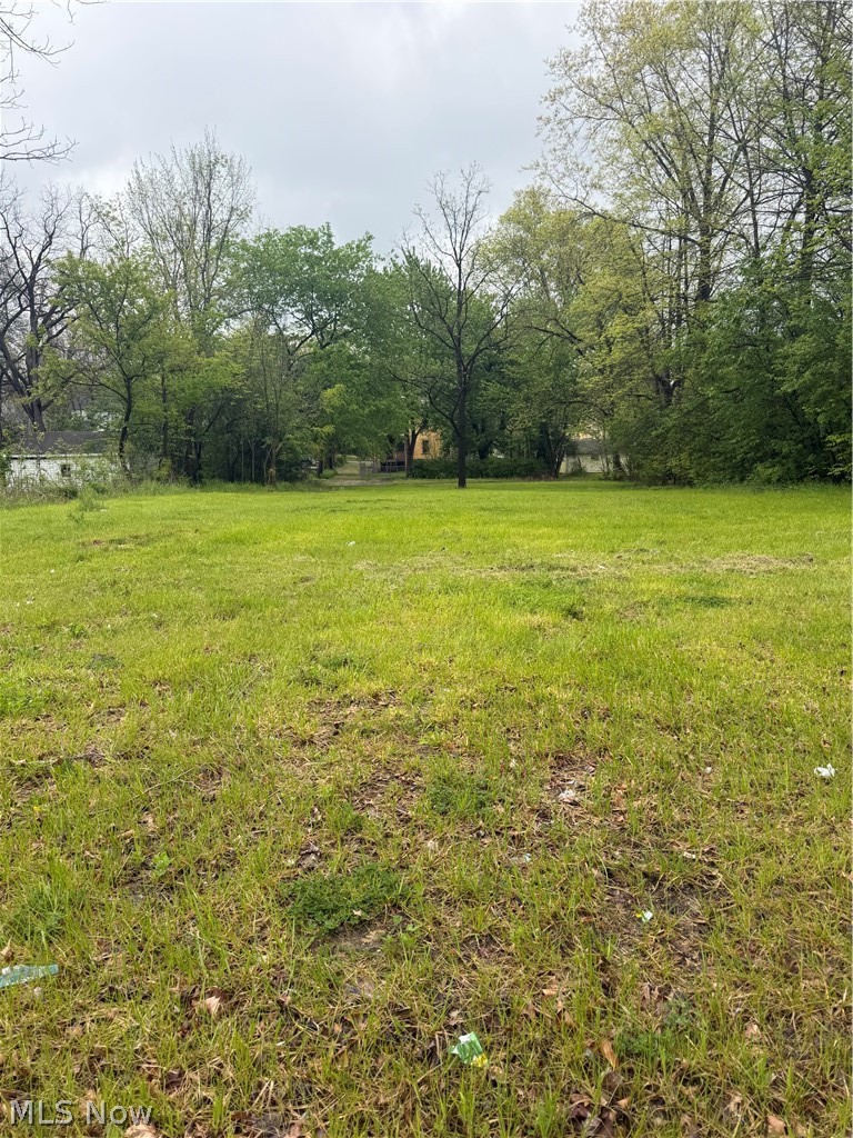 463 S Chestnut Street Property Photo 1