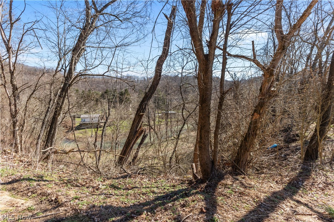 353 Weirton Avenue Property Photo 4