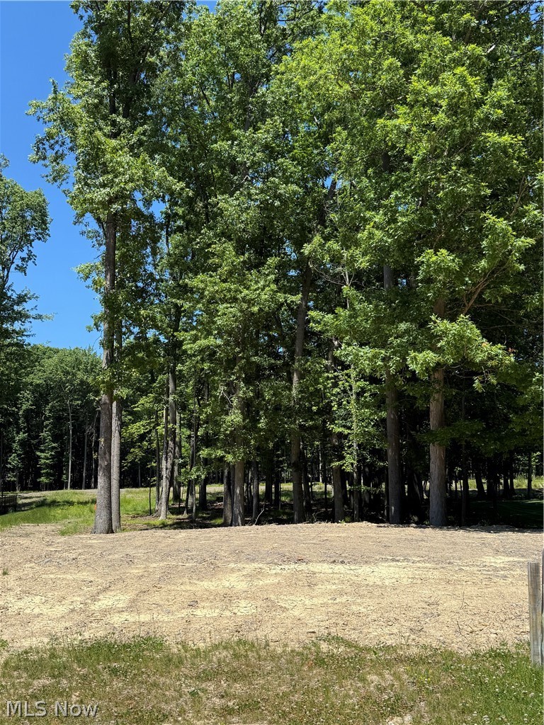 1 Ridgeview Drive Property Photo 1