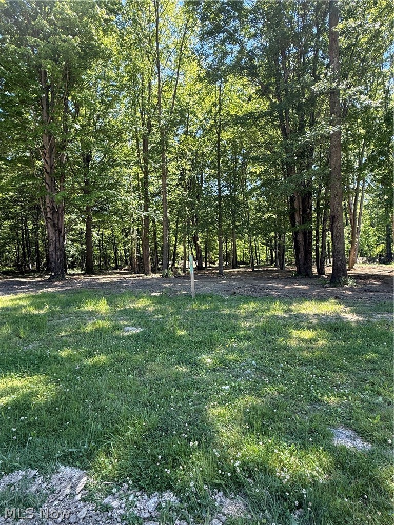 46 Breezewood Lane Property Photo 1