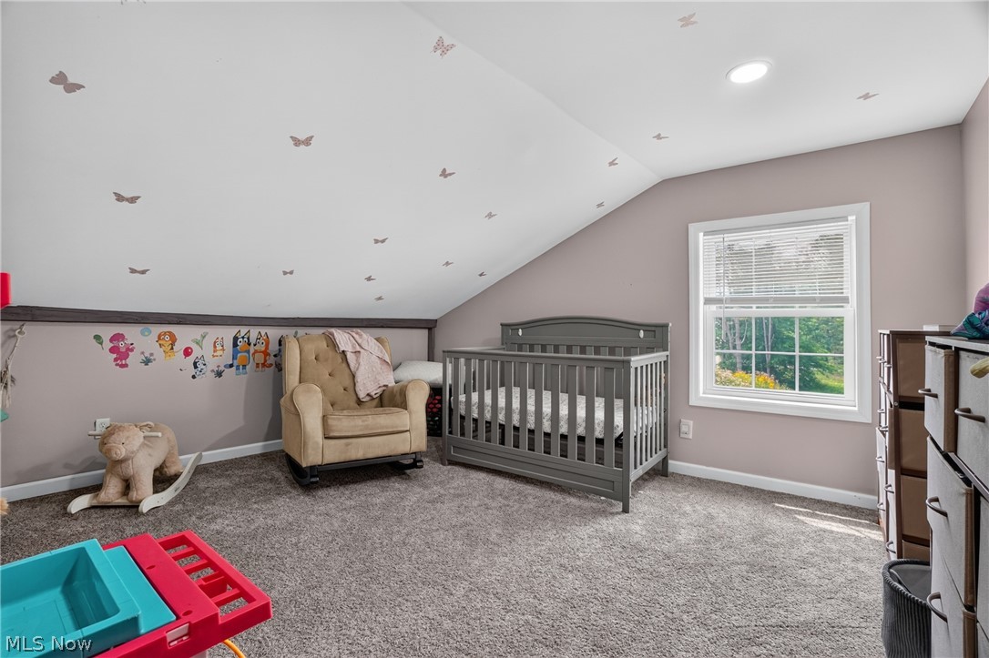 13166 Butternut Road Property Photo 48