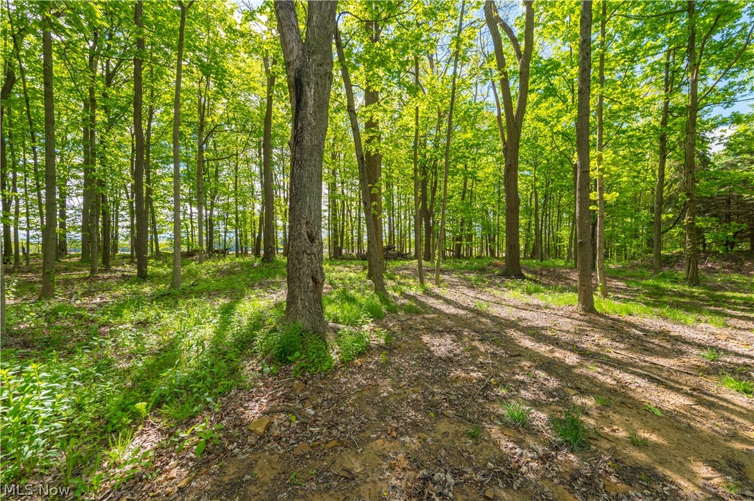 9416 State Route 60 Property Photo 45