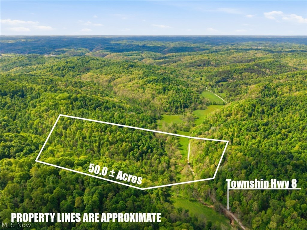 0 Pratts Run Road Property Photo 1