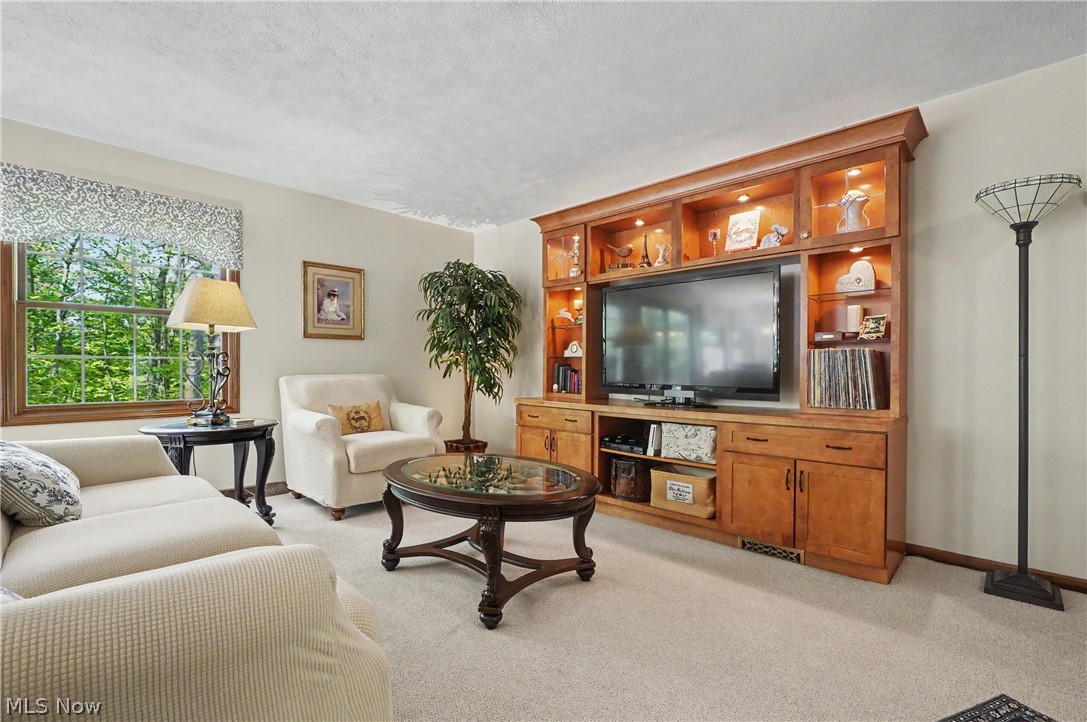 11003 Prouty Property Photo 18