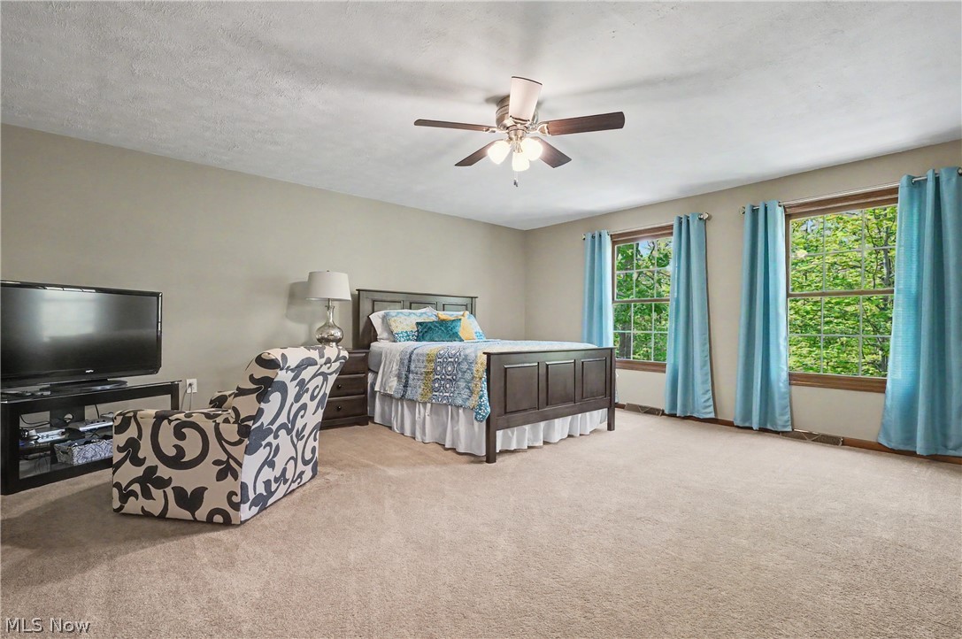 11003 Prouty Property Photo 36