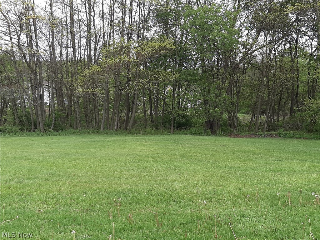 6 Hamilton Avenue Ne Property Photo 1