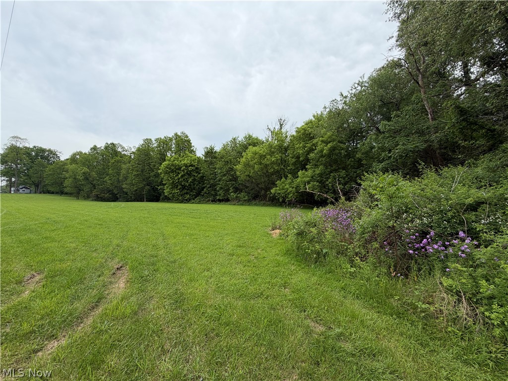 9098 Diagonal Road Property Photo 1