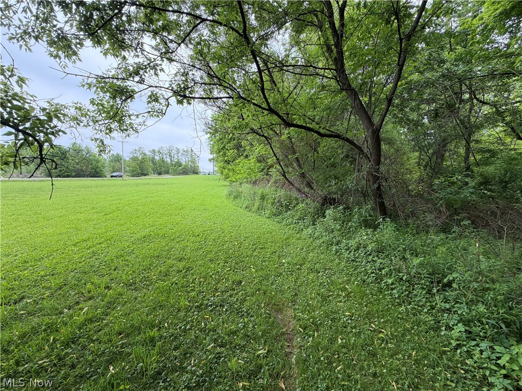 9098 Diagonal Road Property Photo 2