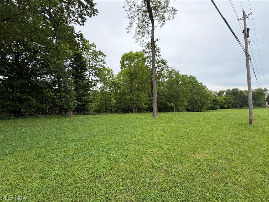 9098 Diagonal Road Property Photo 3