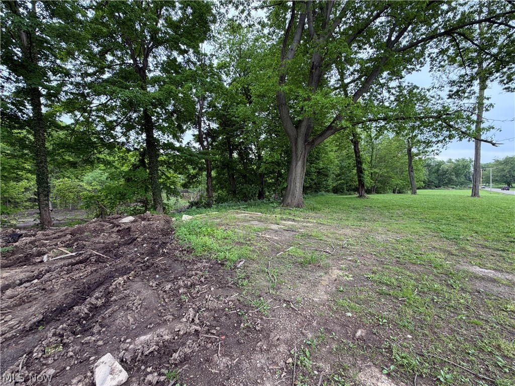 9098 Diagonal Road Property Photo 5