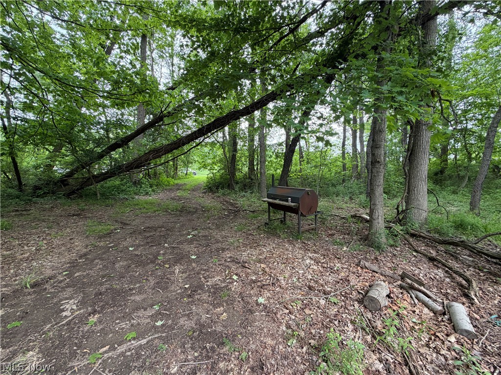 9098 Diagonal Road Property Photo 6