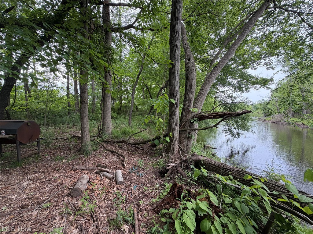 9098 Diagonal Road Property Photo 7