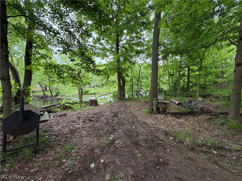 9098 Diagonal Road Property Photo 10