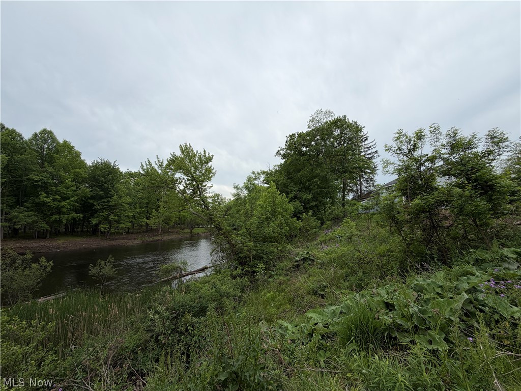 9098 Diagonal Road Property Photo 11