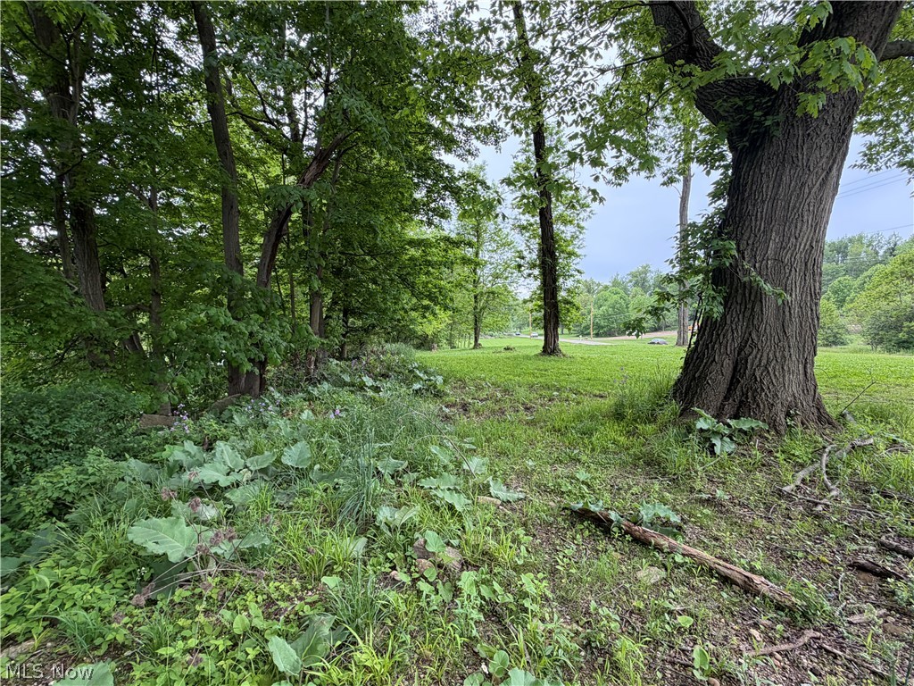 9098 Diagonal Road Property Photo 12