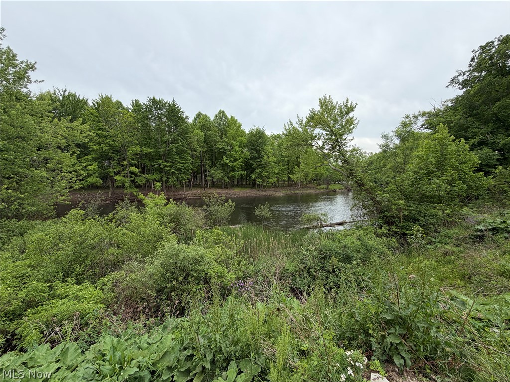 9098 Diagonal Road Property Photo 18