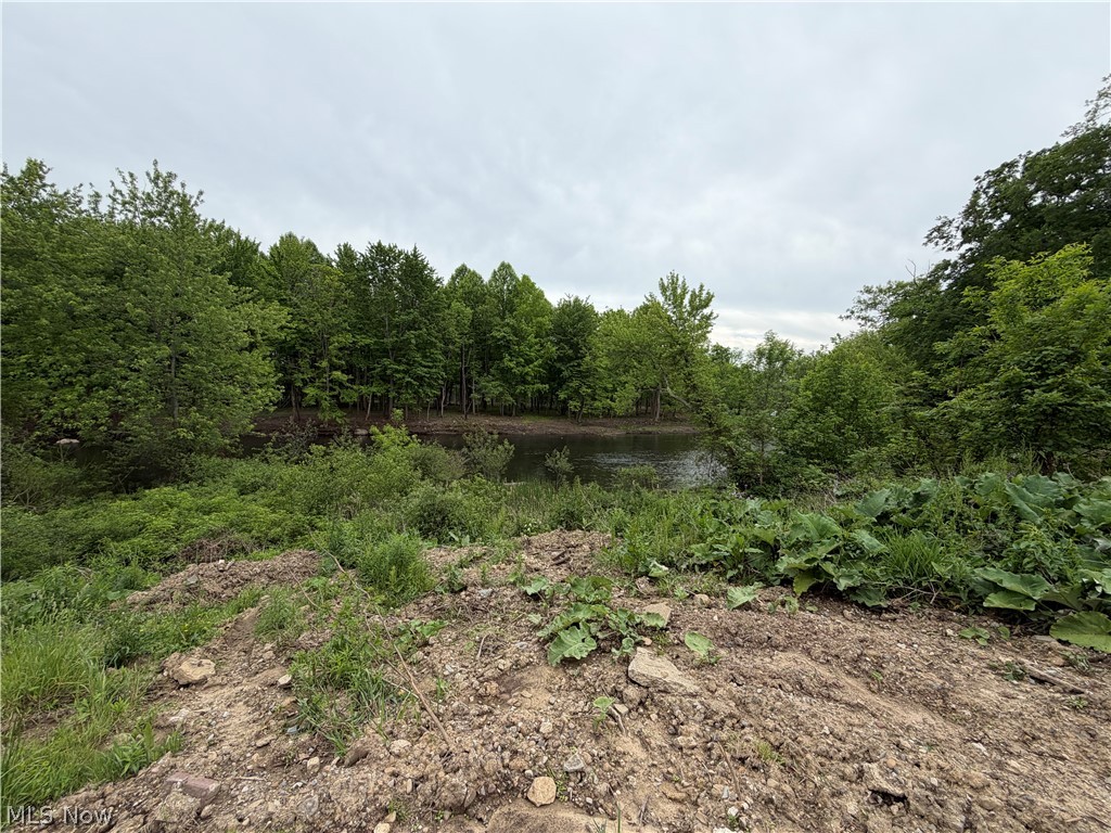 9098 Diagonal Road Property Photo 19