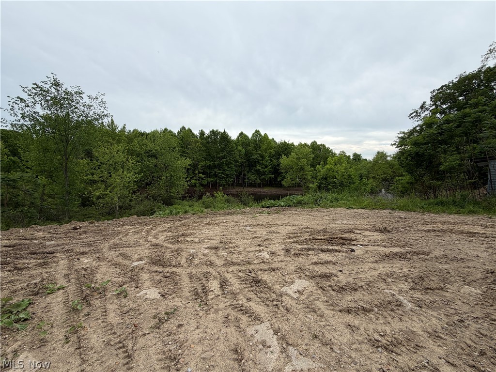 9098 Diagonal Road Property Photo 20