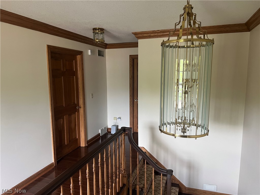 8536 Cherry Hill Place Property Photo 16
