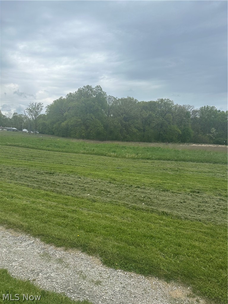 Maple Avenue Property Photo 1