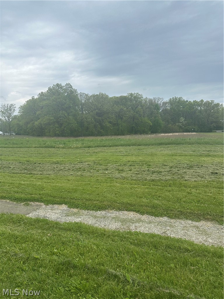Maple Avenue Property Photo 4