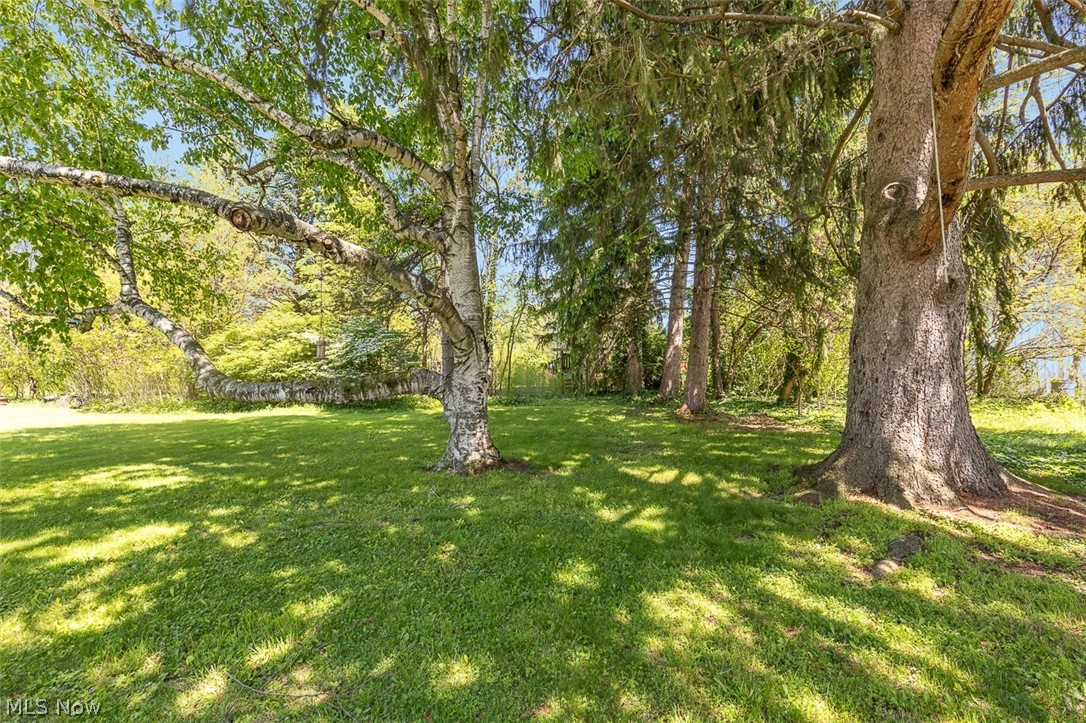 133 Crownhill Avenue Property Photo 25