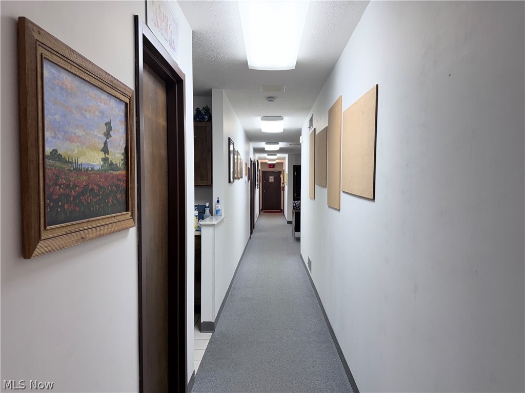 656 Chestnut Street Property Photo 8
