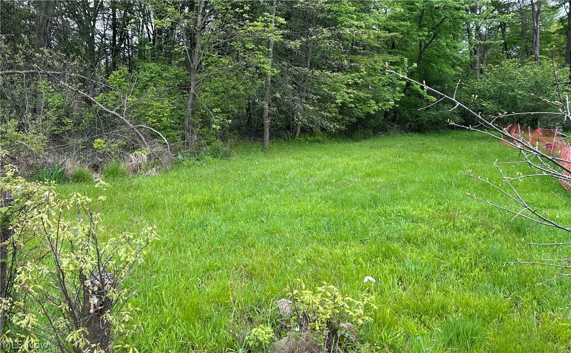 Ridley Avenue Property Photo 1