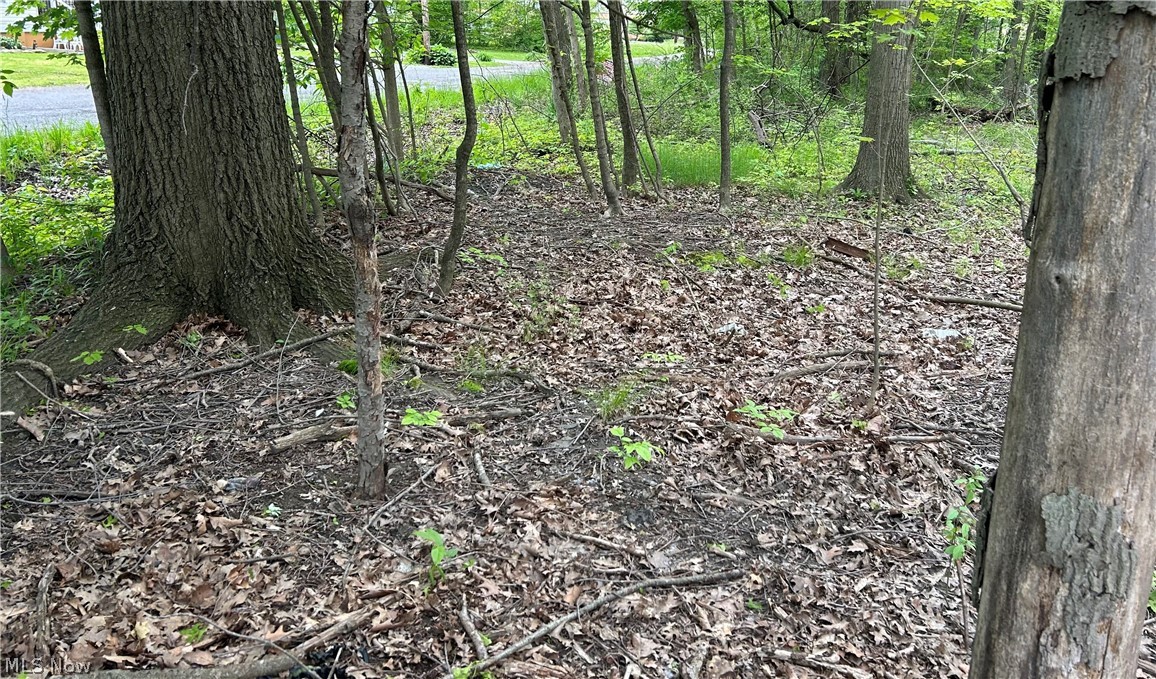 Ridley Avenue Property Photo 2