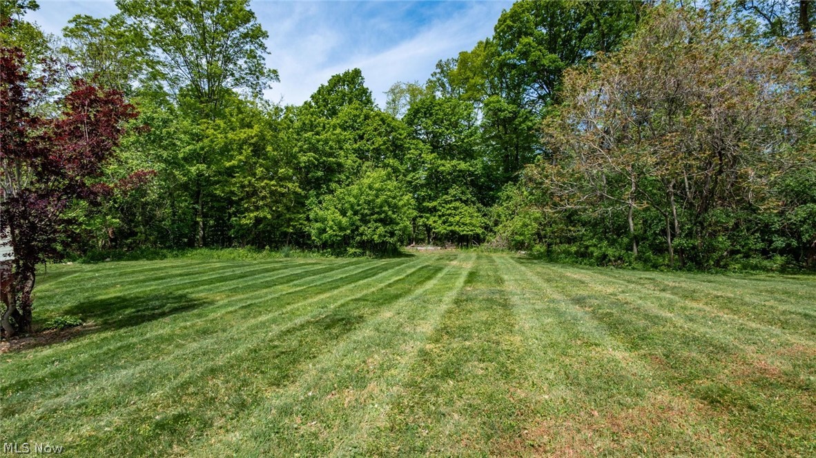 3185 Corvus Drive Property Photo 45