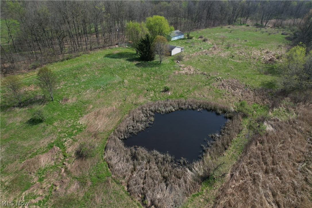 9200 Horn Road Property Photo 4