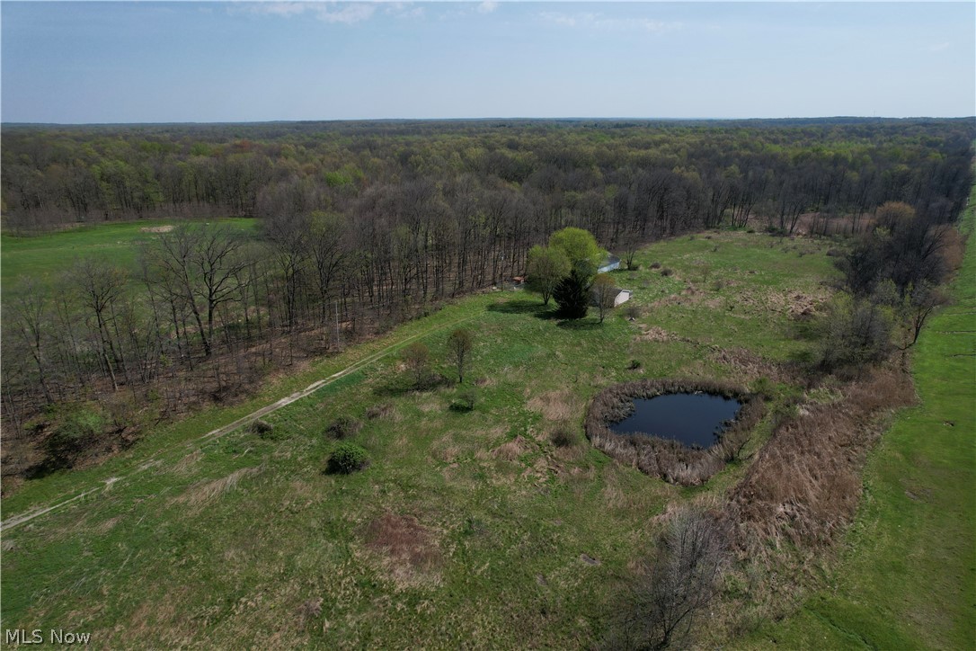 9200 Horn Road Property Photo 5
