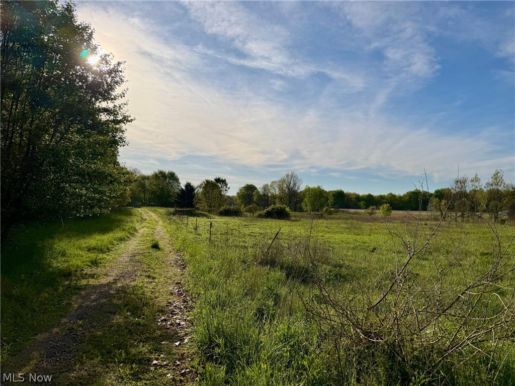 9200 Horn Road Property Photo 18