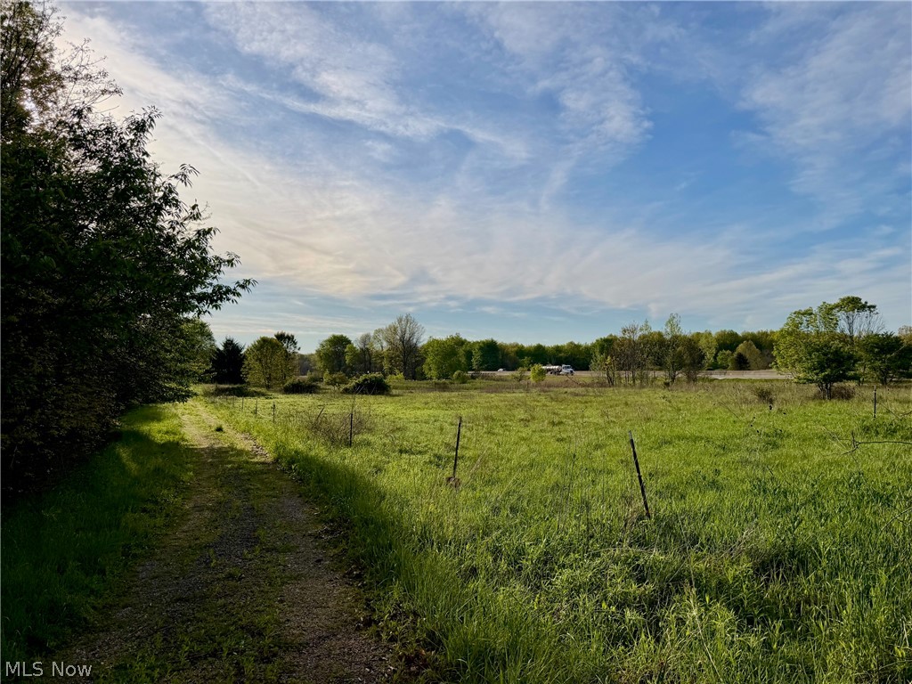 9200 Horn Road Property Photo 19