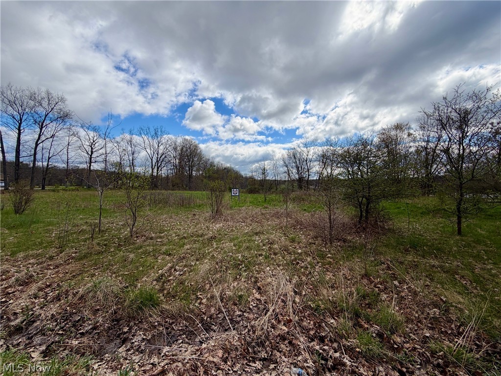 9200 Horn Road Property Photo 20
