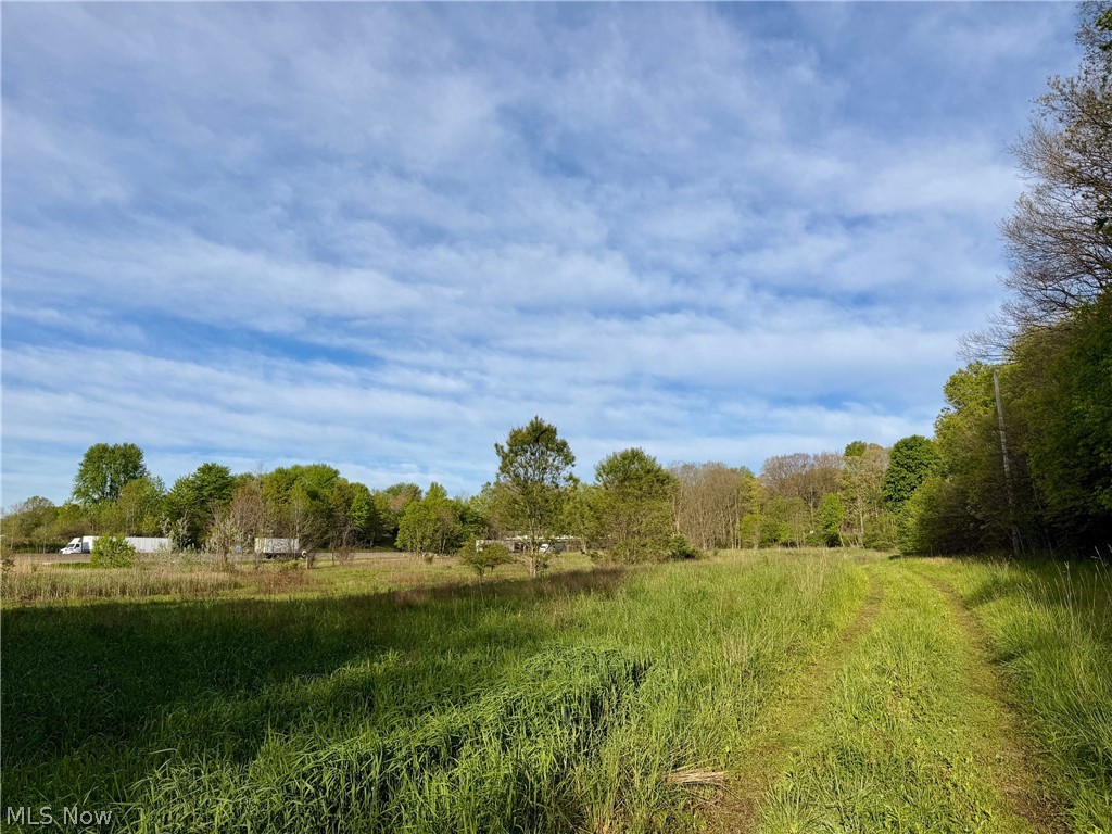 9200 Horn Road Property Photo 21
