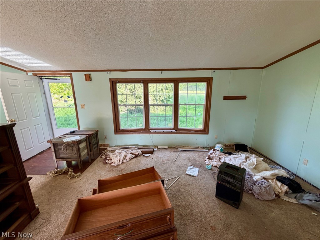 9200 Horn Road Property Photo 28